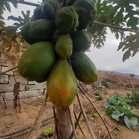 Σπίτι διακοπών De Luna La Orotava