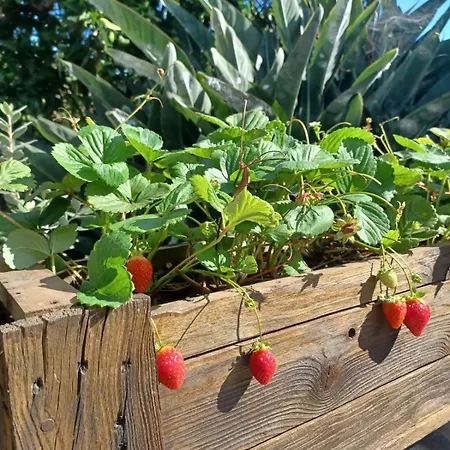 De Luna Prázdninový dům