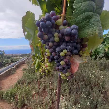 De Luna Ля Оротава