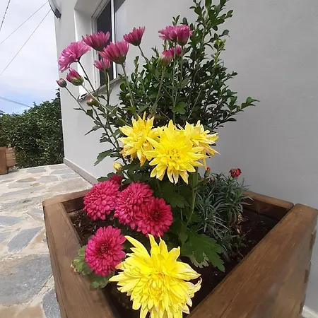 De Luna Дом отдыха *