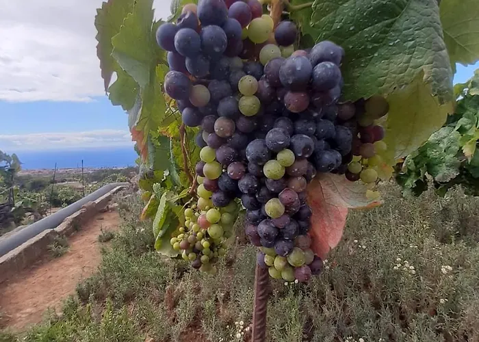 De Luna לה אורוטבה