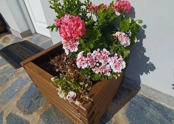 בית נופש De Luna *