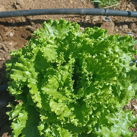 Hébergement de vacances De Luna