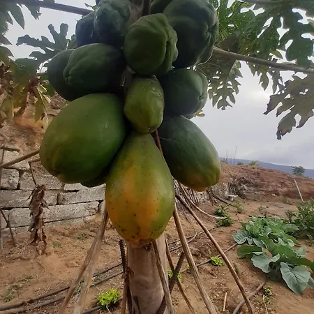 Hébergement de vacances De Luna La Orotava