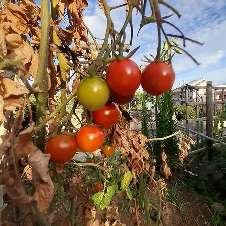 Hébergement de vacances De Luna La Orotava