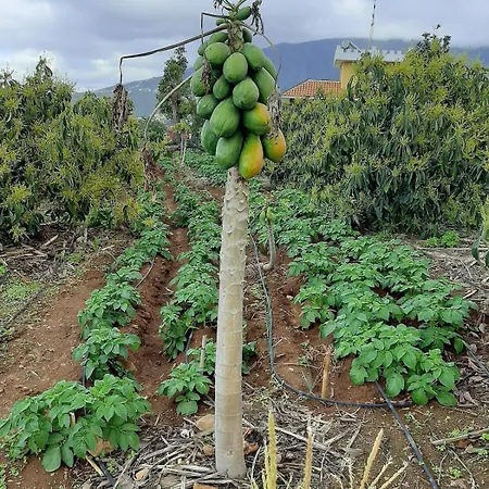 Hébergement de vacances De Luna